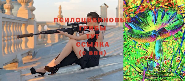 прущие грибы Аркадак