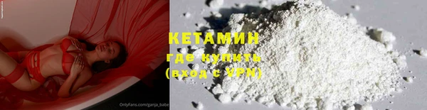 прущие грибы Аркадак