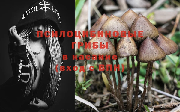 дурь Баксан