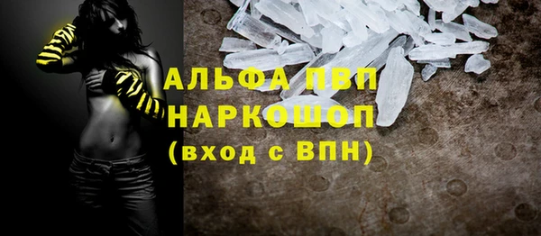 прущие грибы Аркадак